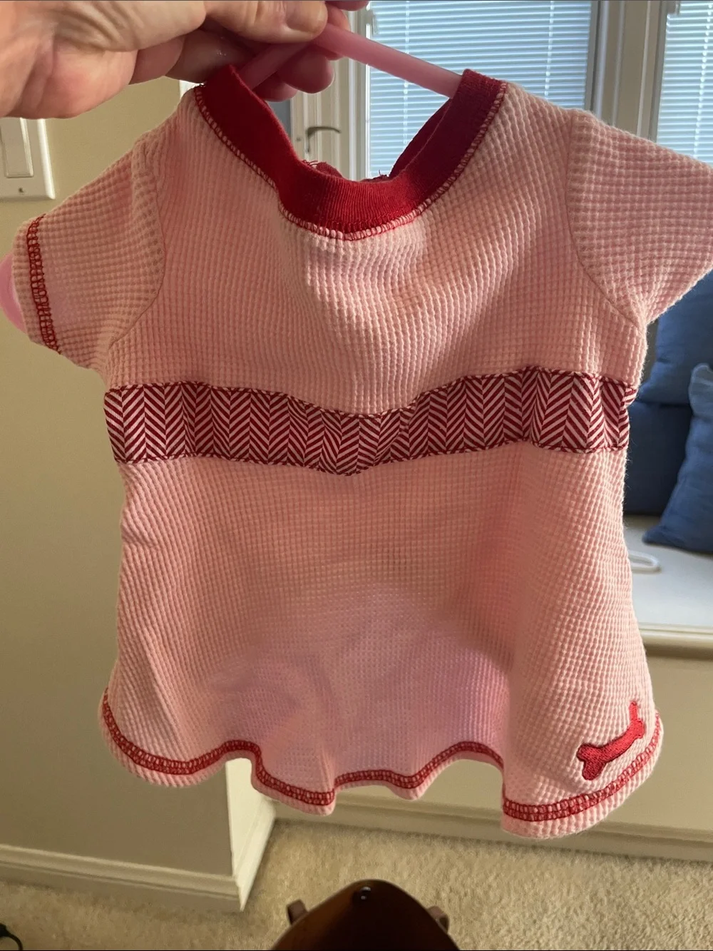 Pink & Red Female Dog Dress